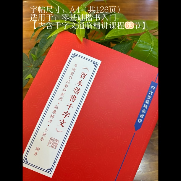 【智永楷书千字文】精讲教材（内含63节网课，零基础入门首选）