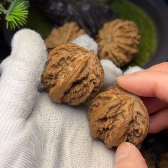 文玩核桃吊坠秦岭核桃2