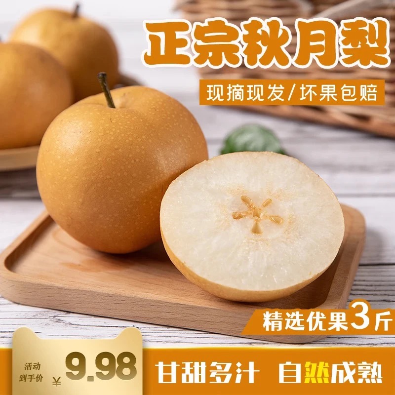 正宗秋月梨当季新鲜现摘脆甜多汁皮薄水果