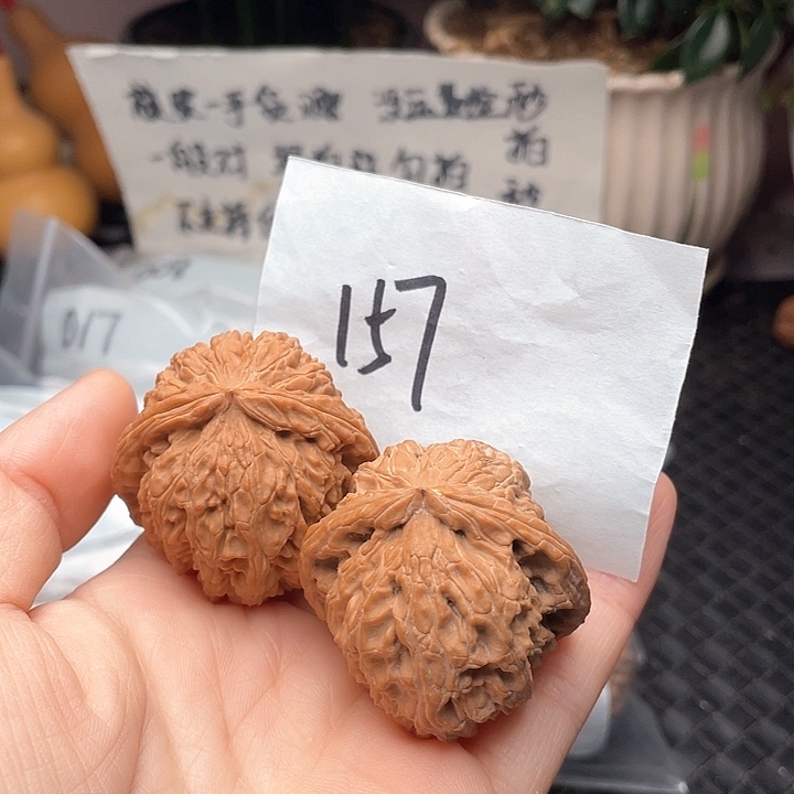 41尺寸l练手对白狮子