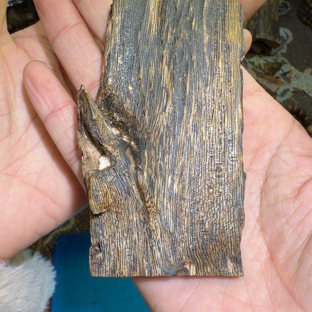 沉香沉香碎屑砍**年海南莺歌绿31.4克一代树老料