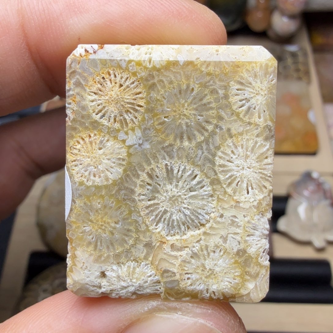 硅化玉未镶嵌纯天然色有机玉石保真色