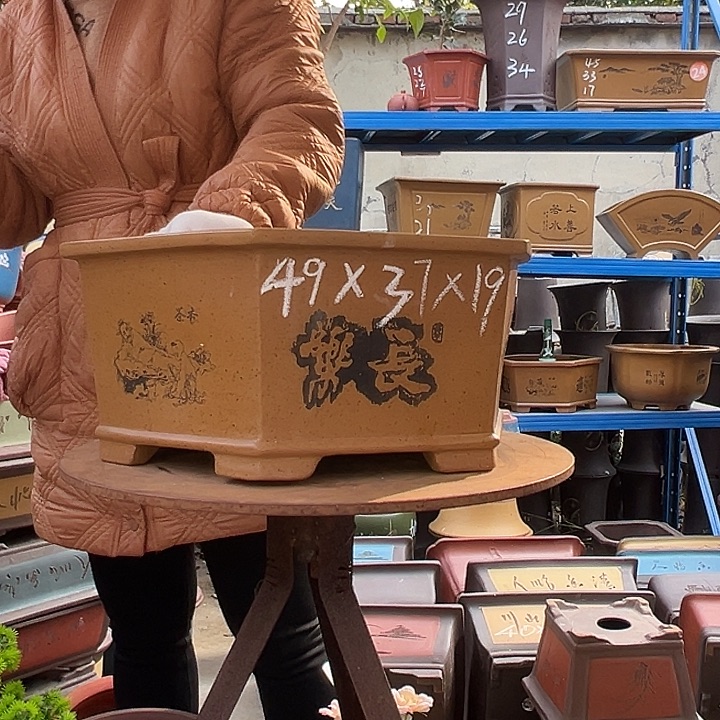 花盆花盆花盆花盆花盆花盆