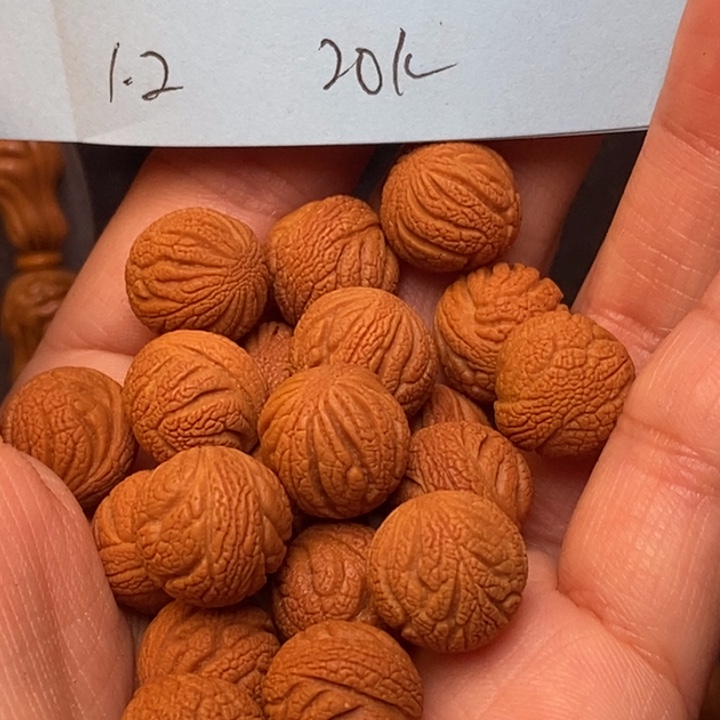 手串文玩核桃秦岭龙纹桃核12尺寸