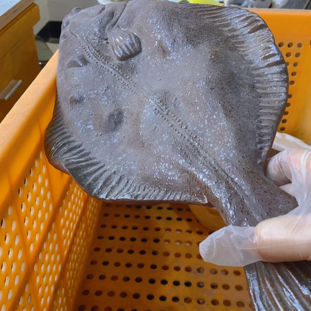 瑕疵陶瓷特卖～非偏远今天凑满8米邮