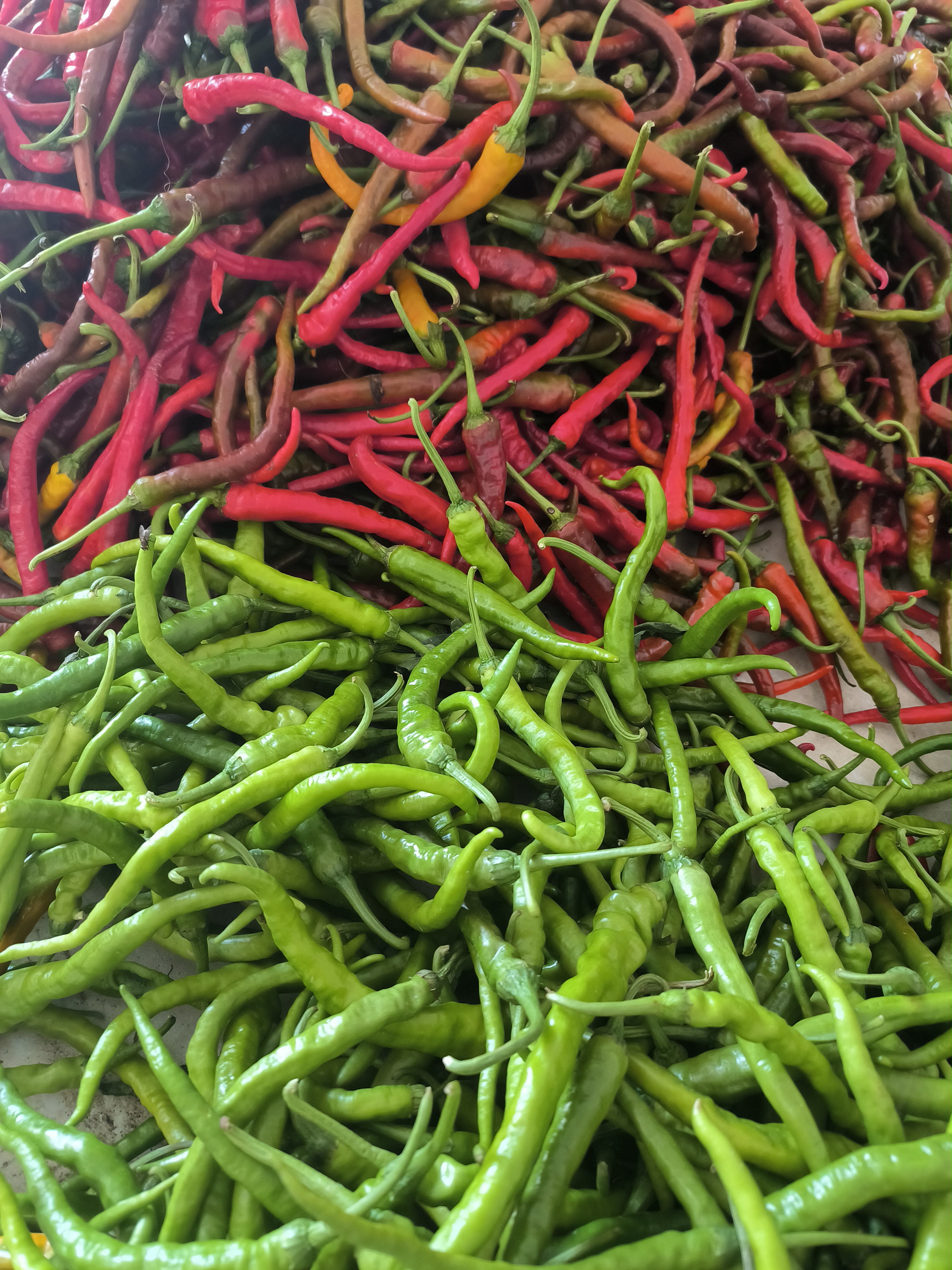 （拼单）湖南衡山农家自种蔬菜