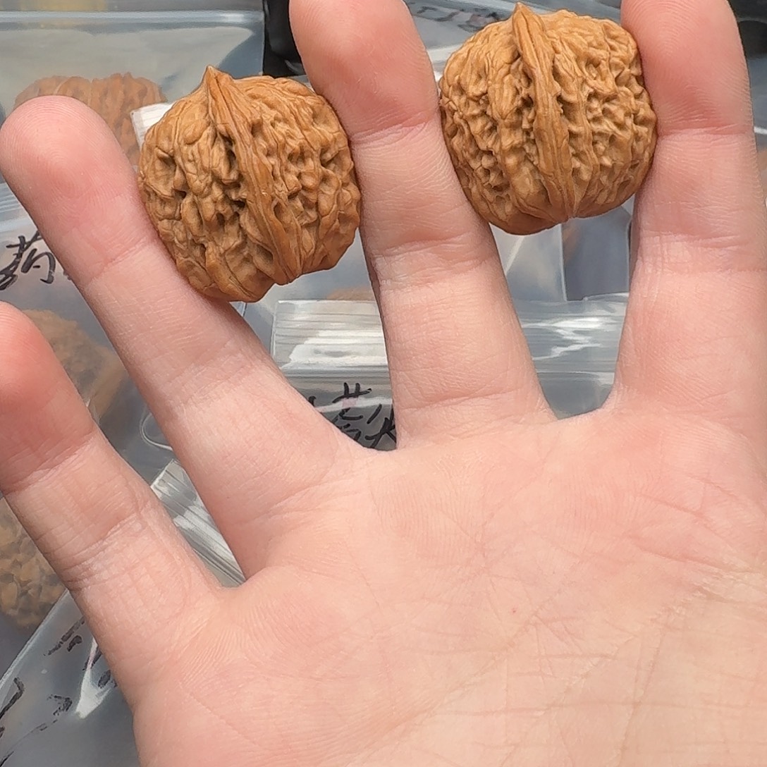 2018汉高楼窄楼全品