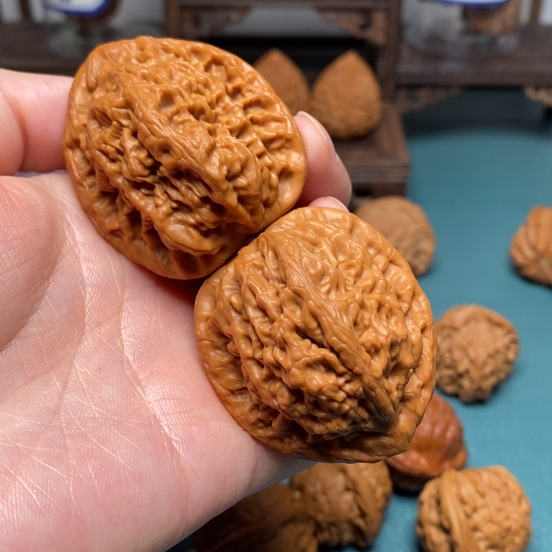 冬***乐核桃41尺金公子修