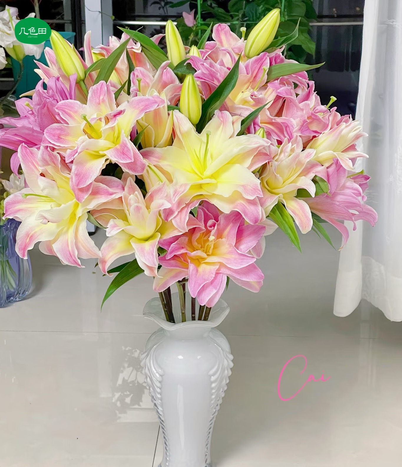 【夏日耐养】多头彩虹糖----重瓣百合云南直发鲜花