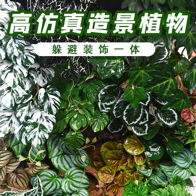 彷真植物爬宠饲养箱造景绿植陆龟蜥蜴变色龙雨林躲避装饰