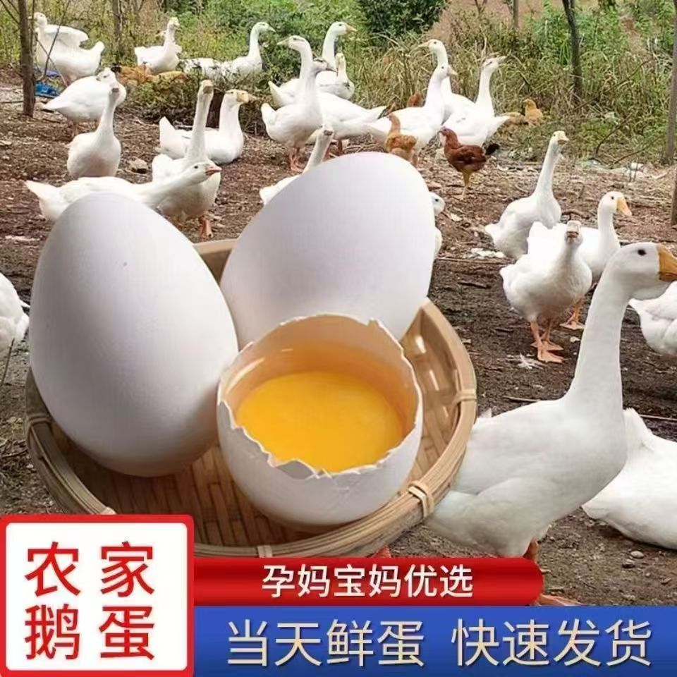 正宗土鹅蛋新鲜农家散养鹅蛋新鲜鹅蛋孕妇批发20个装
