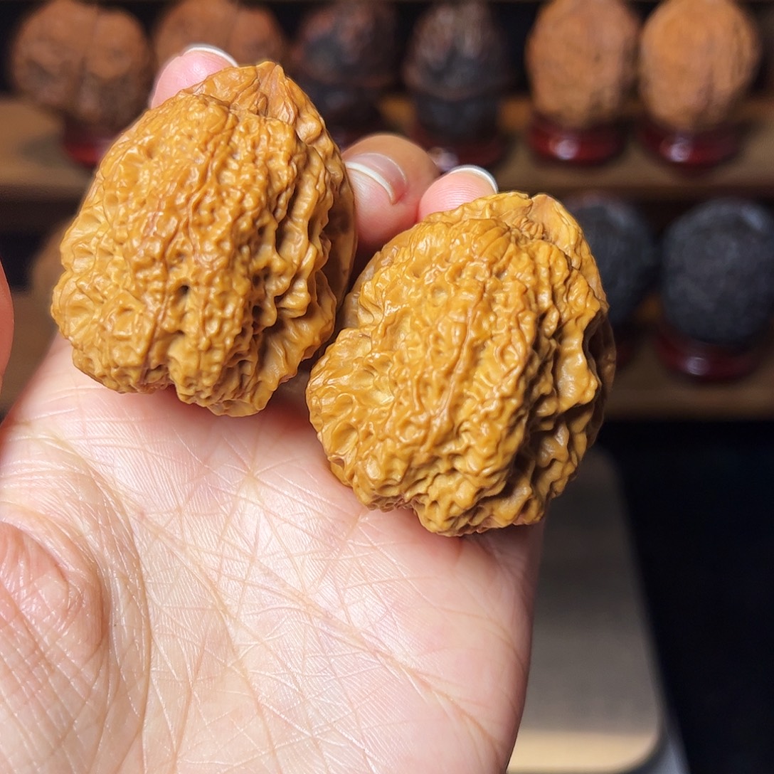 火麒麟          47