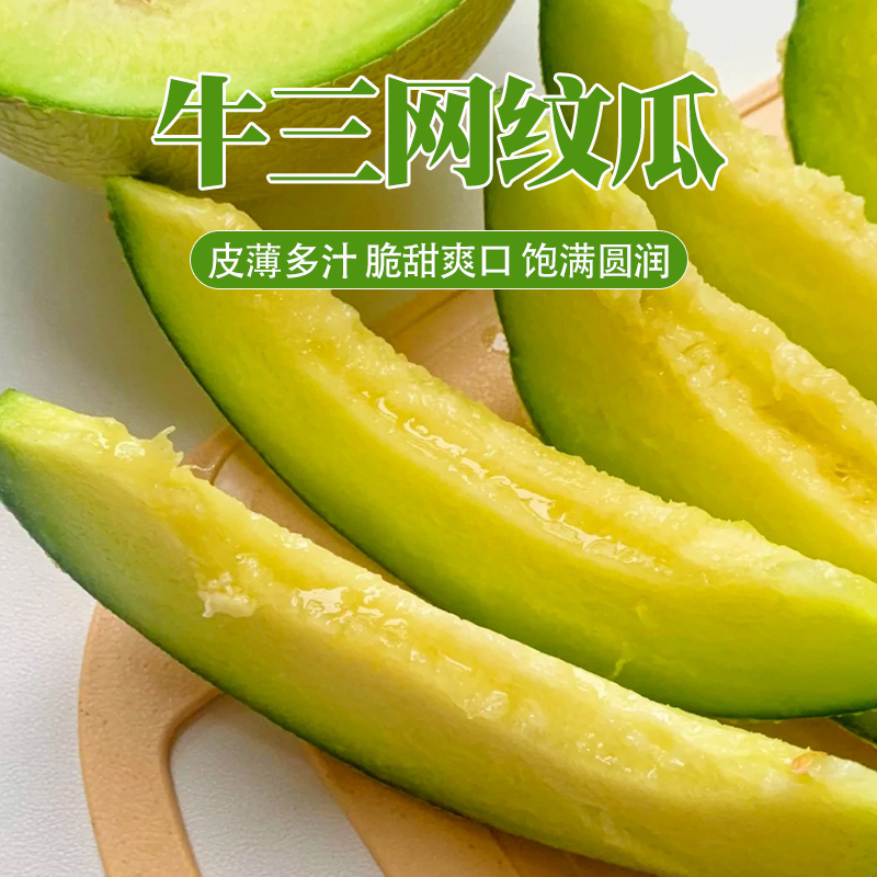 【坏果包赔】海南牛三网纹瓜2粒净重4.5-5斤