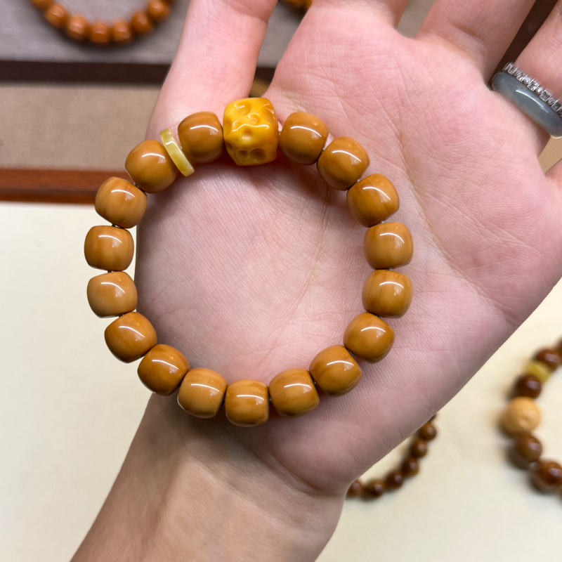 猴头老型搭配缅黄奶酪