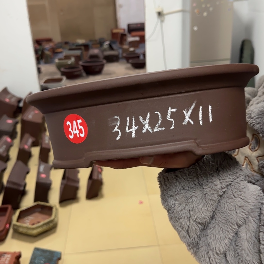 紫砂花盆呜呜呜呜