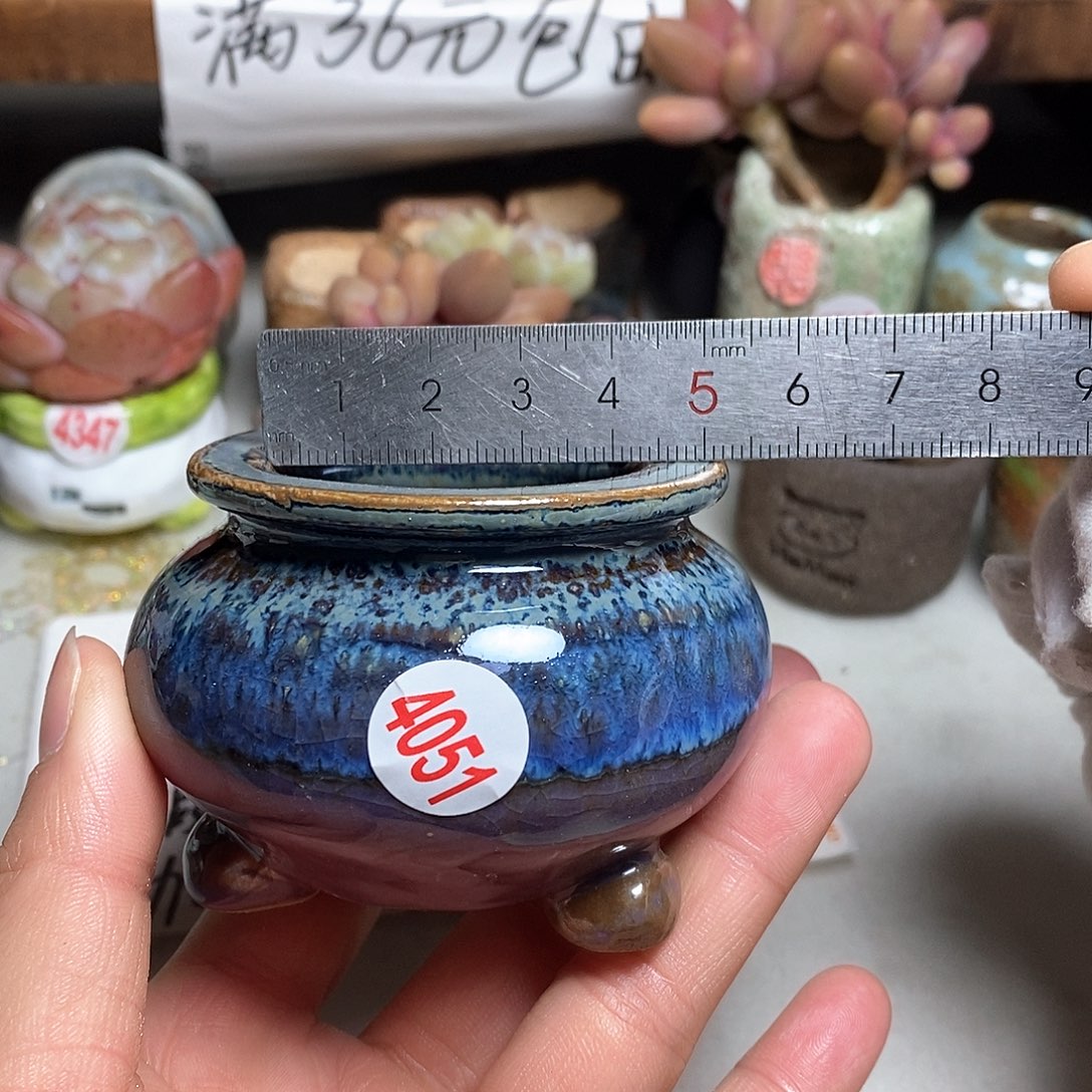 红陶拍5送一个小