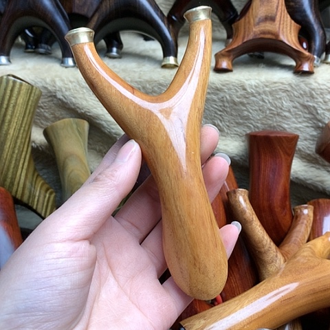 大果紫檀（缅甸花梨）312