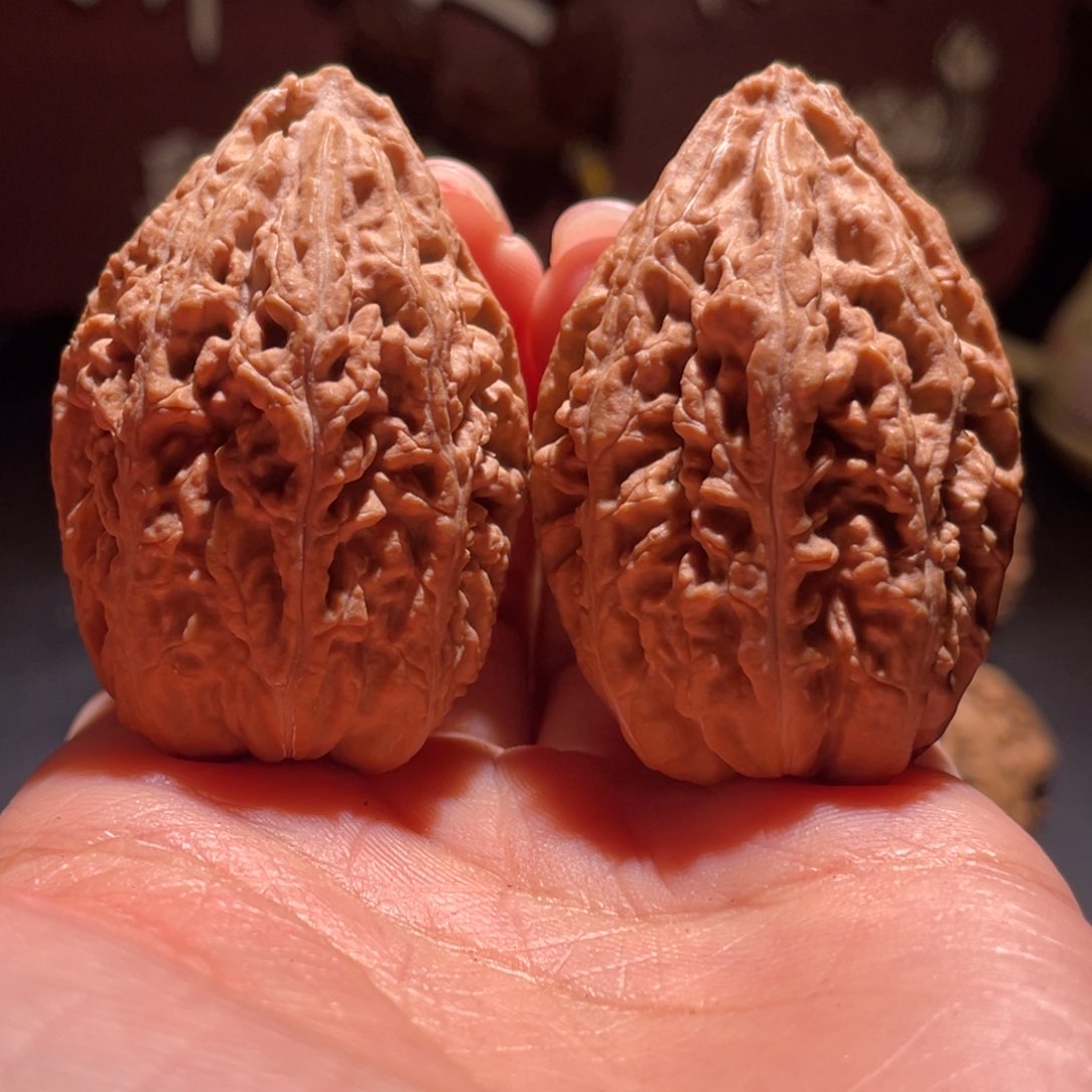 文玩核桃吊坠明老树蚂蚁塔9
