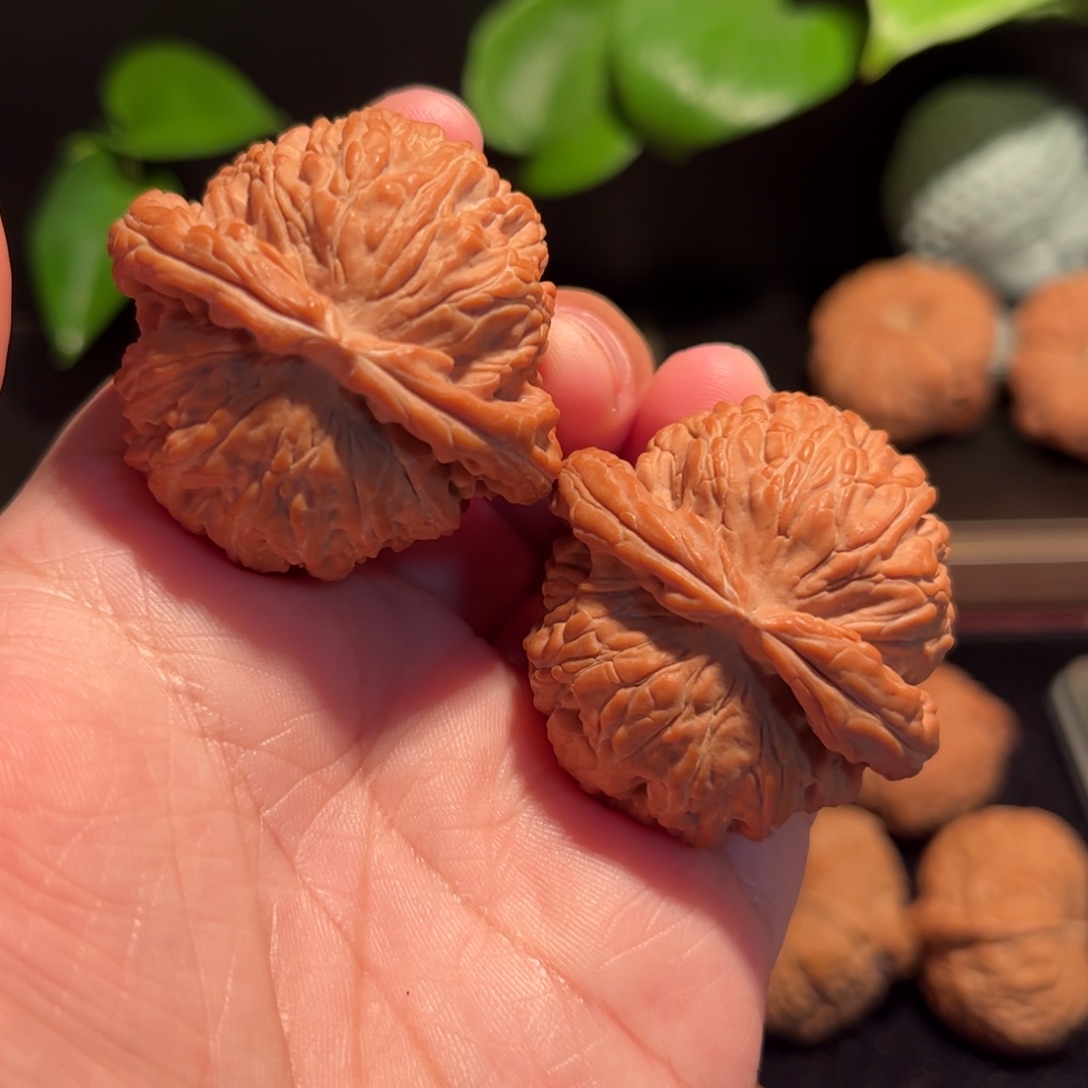 【闪购商品】文玩核桃把件佳*羽白狮子