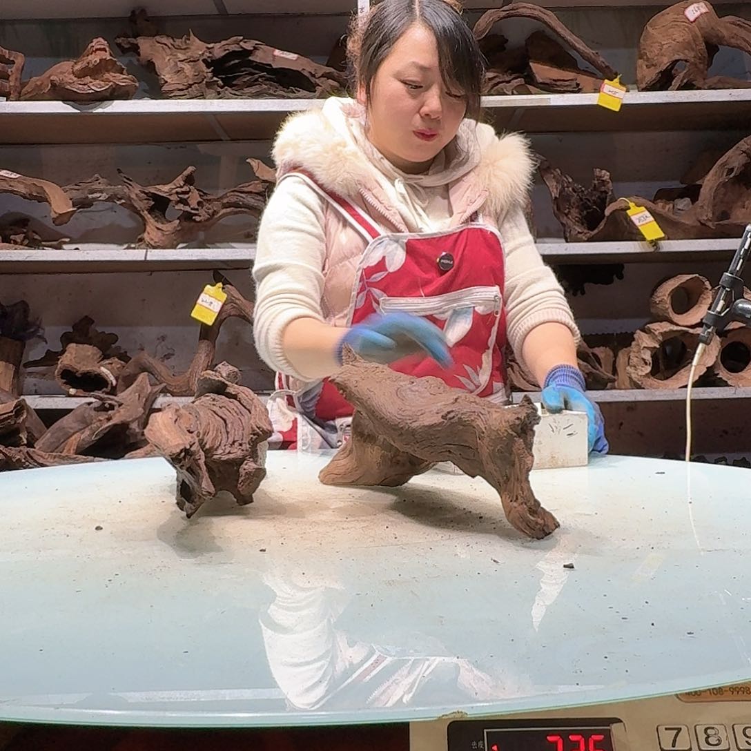 倍褚沉木不包损必褪色T**a5698