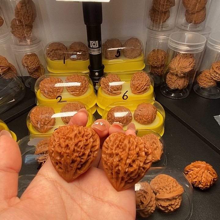 40高尖凹底龙门涧        