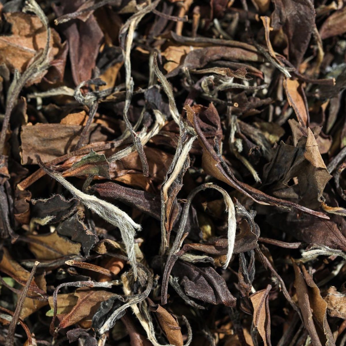 【拍一发四体验装】南雄春茶毛尖高山绿茶浓香耐泡