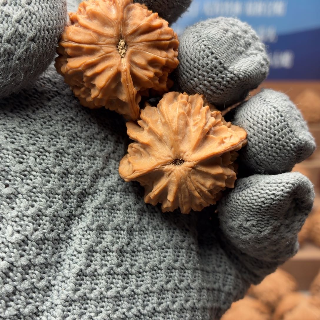 轻***胤文玩核桃吊坠无名