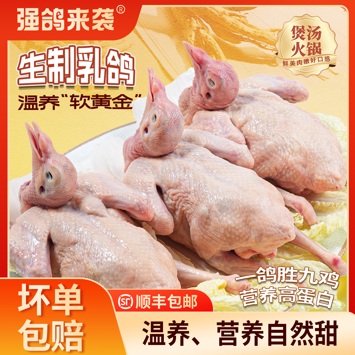 【拍一发三】山林散养土鸽子五谷杂粮乳鸽真空包装新鲜现杀鸽子肉