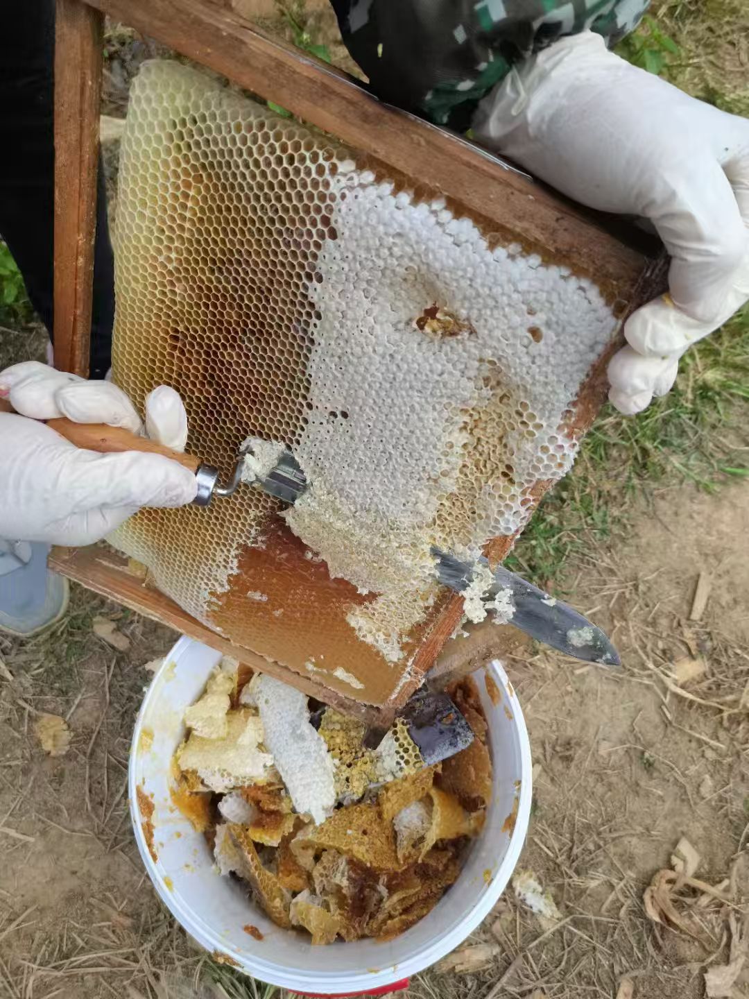 高山农家带蜂蜜纯正天然