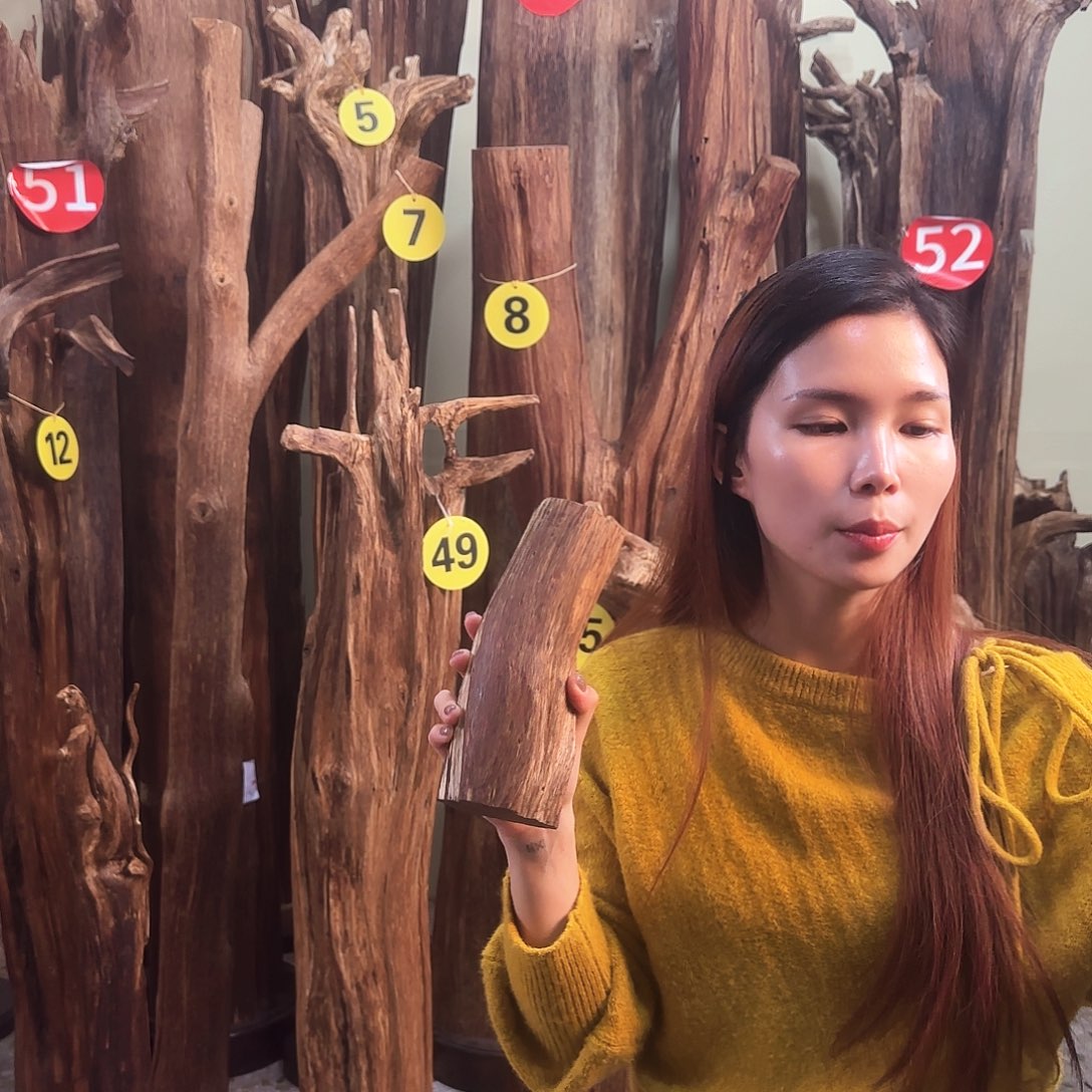 沉香沉香碎屑天然沉香原材料香料熏料