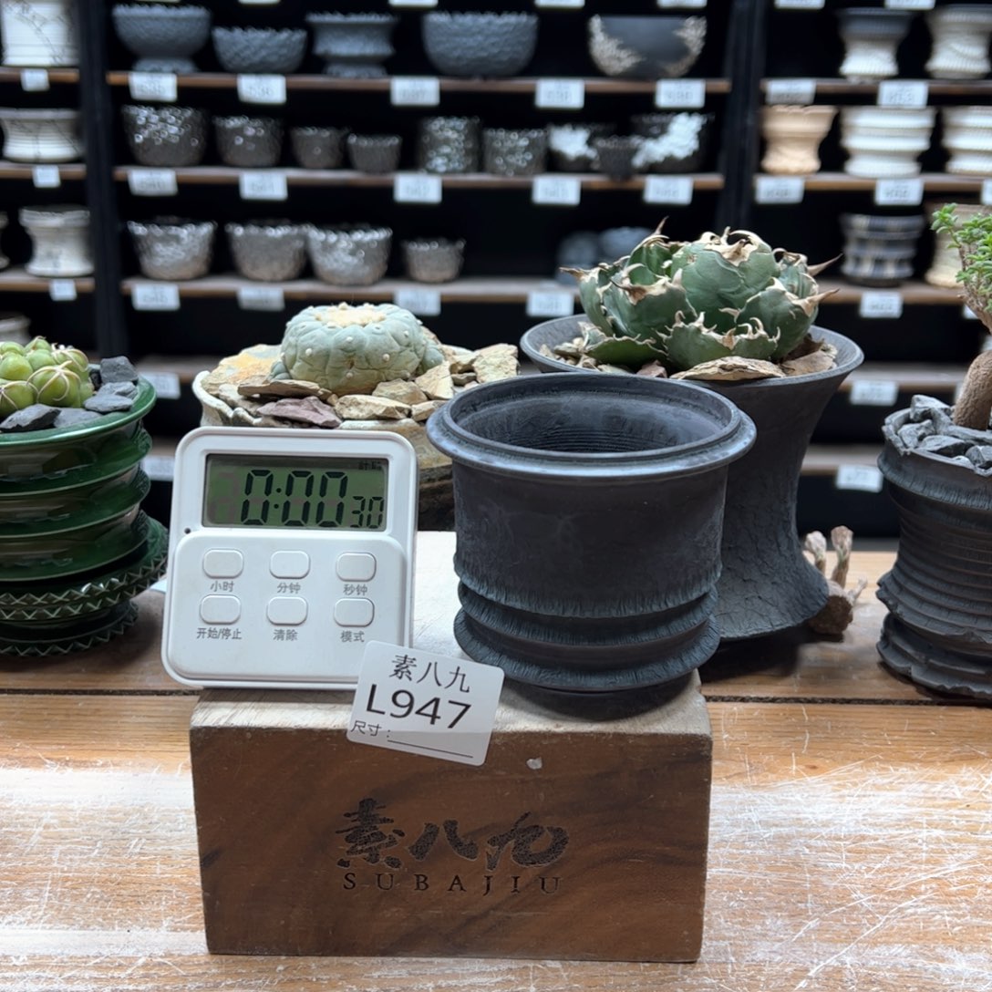 素八九陶瓷内口8高8?****人