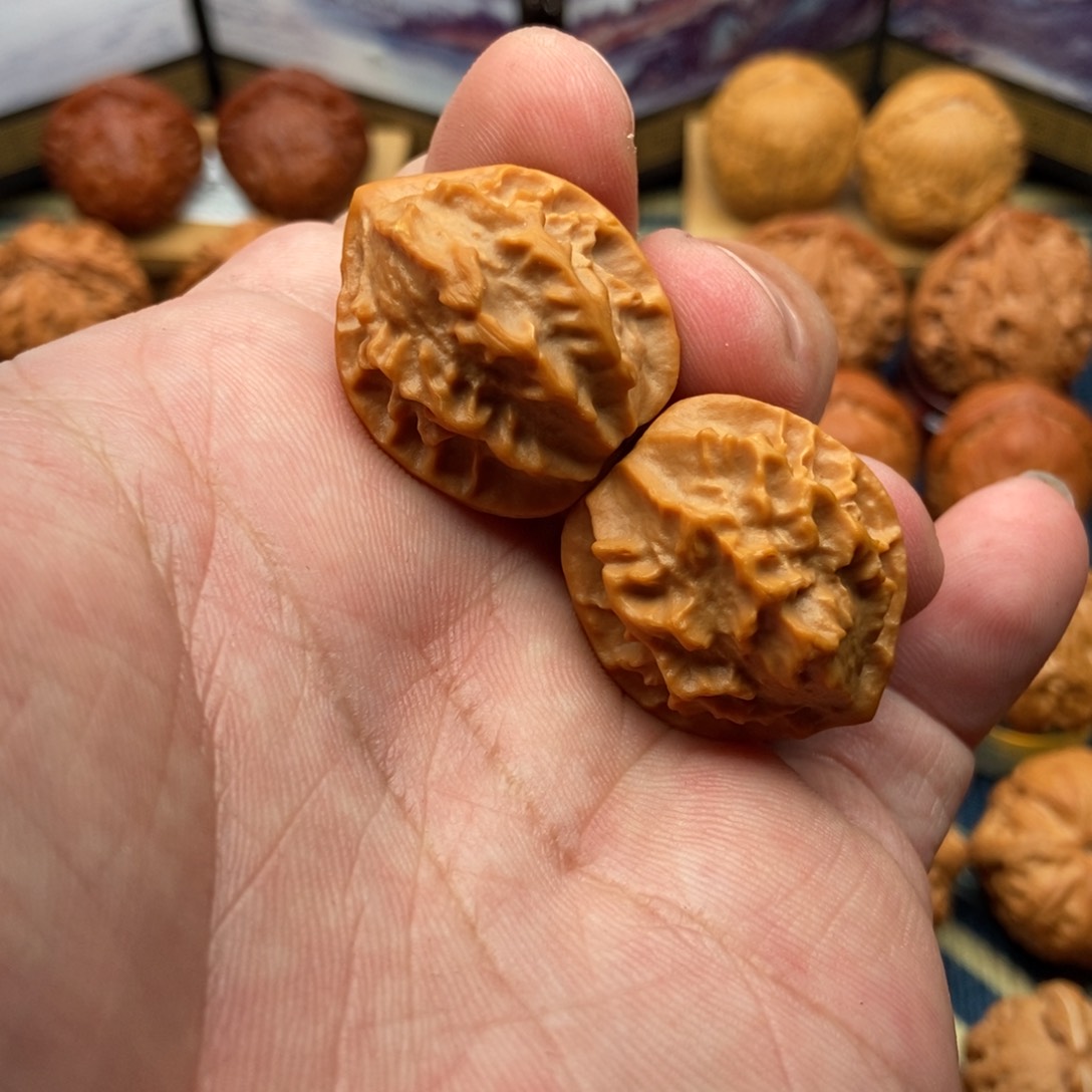 文玩核桃把件帝王龙脊背