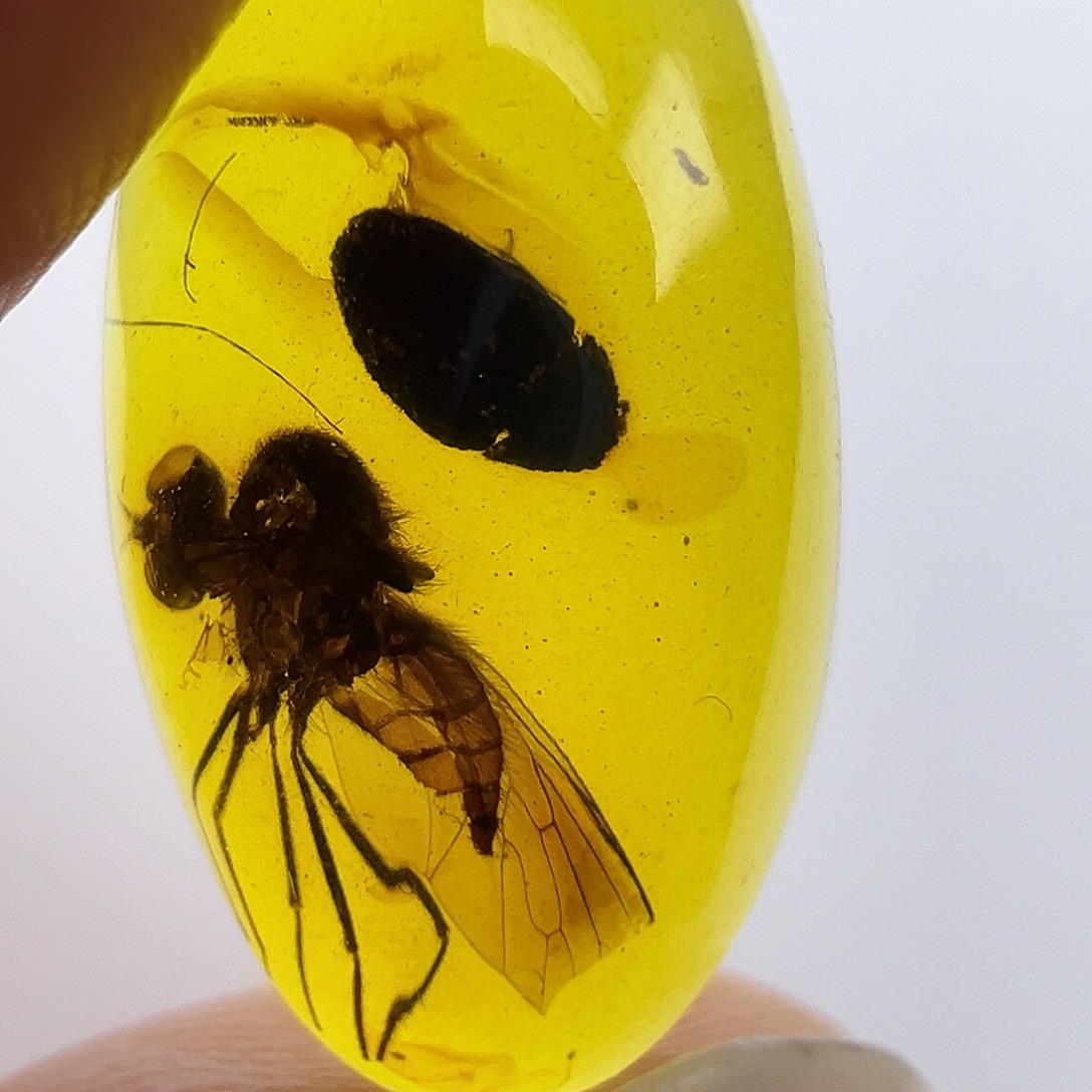 琥珀未镶嵌裸石琥珀虫珀