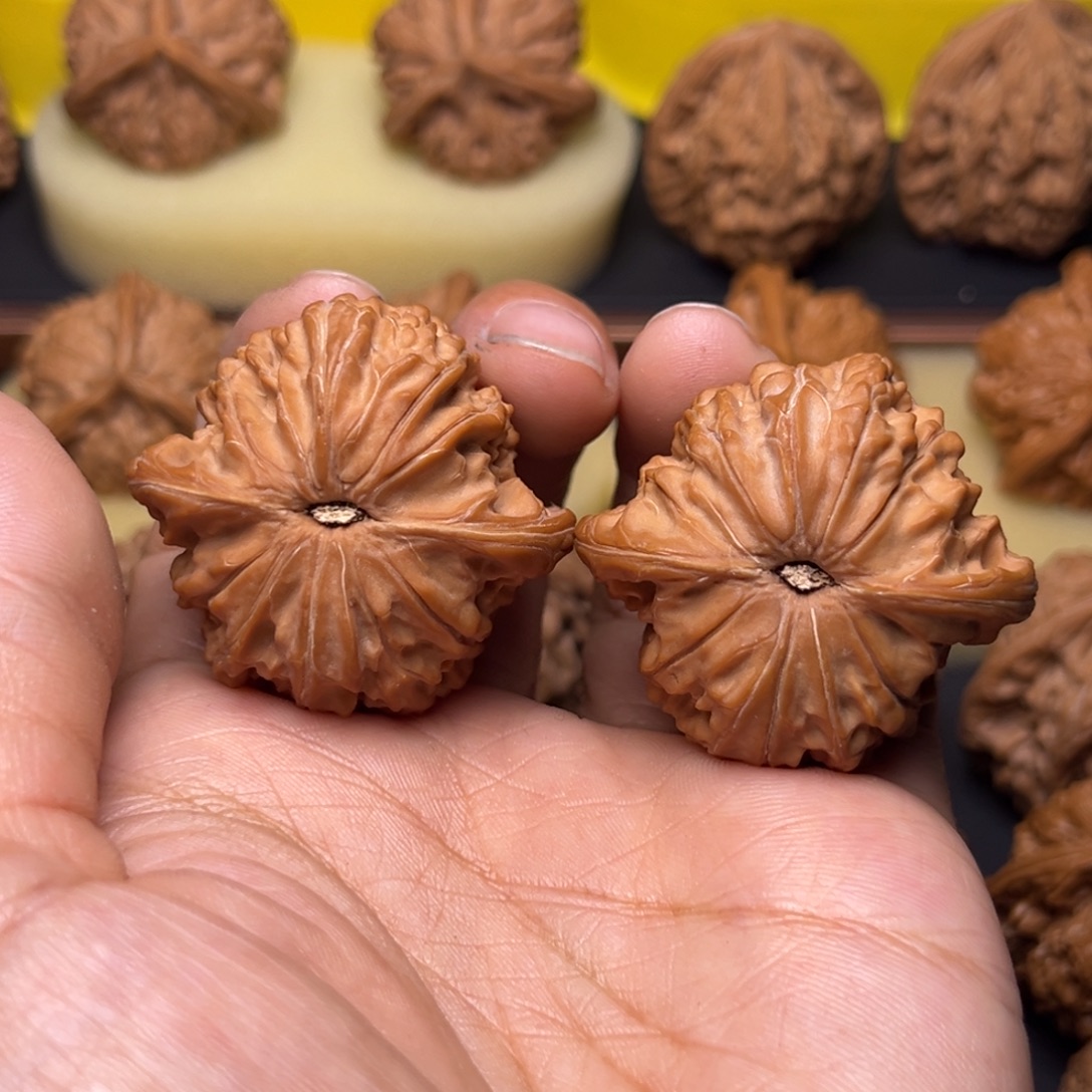 抖***号文玩核桃把件山地磨盘40左右