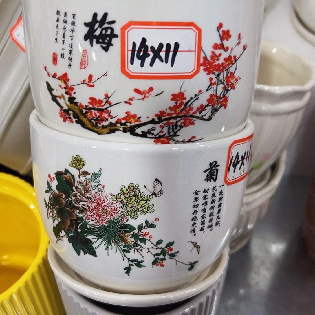 花盆花盆花盆花盆花盆花盆花盆