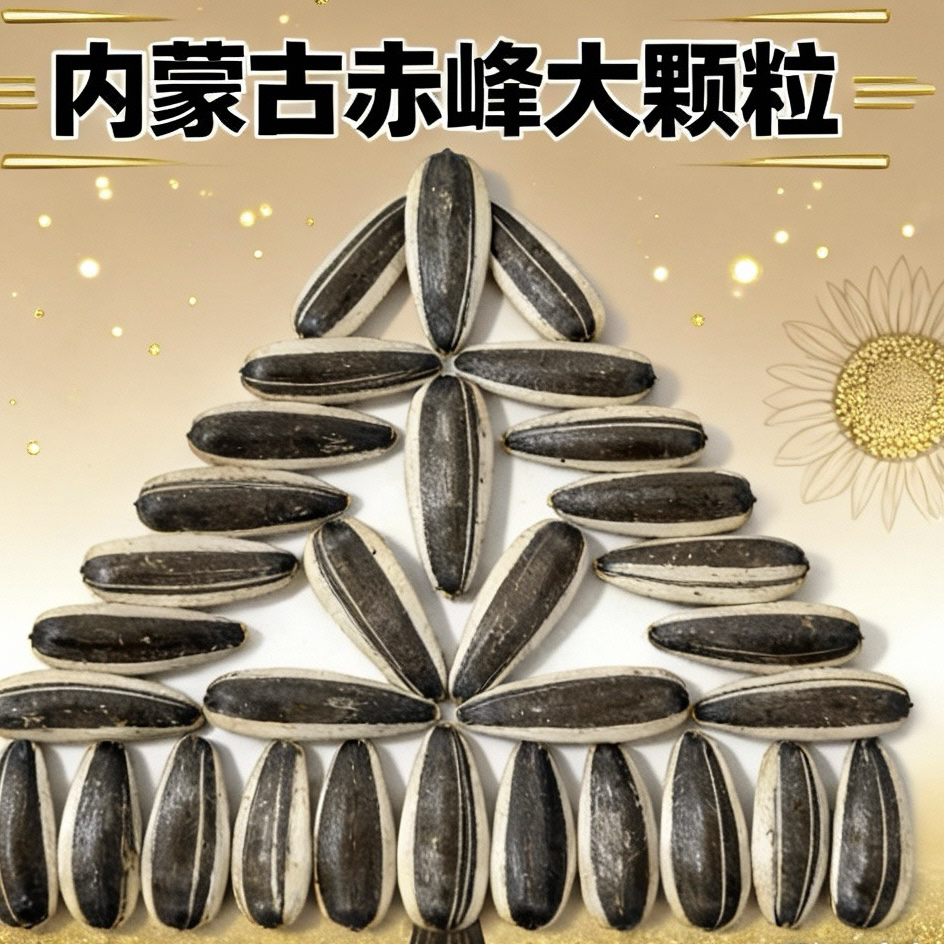 2025年内蒙古赤峰原味生瓜子甜葵1号大颗粒（产地直发）