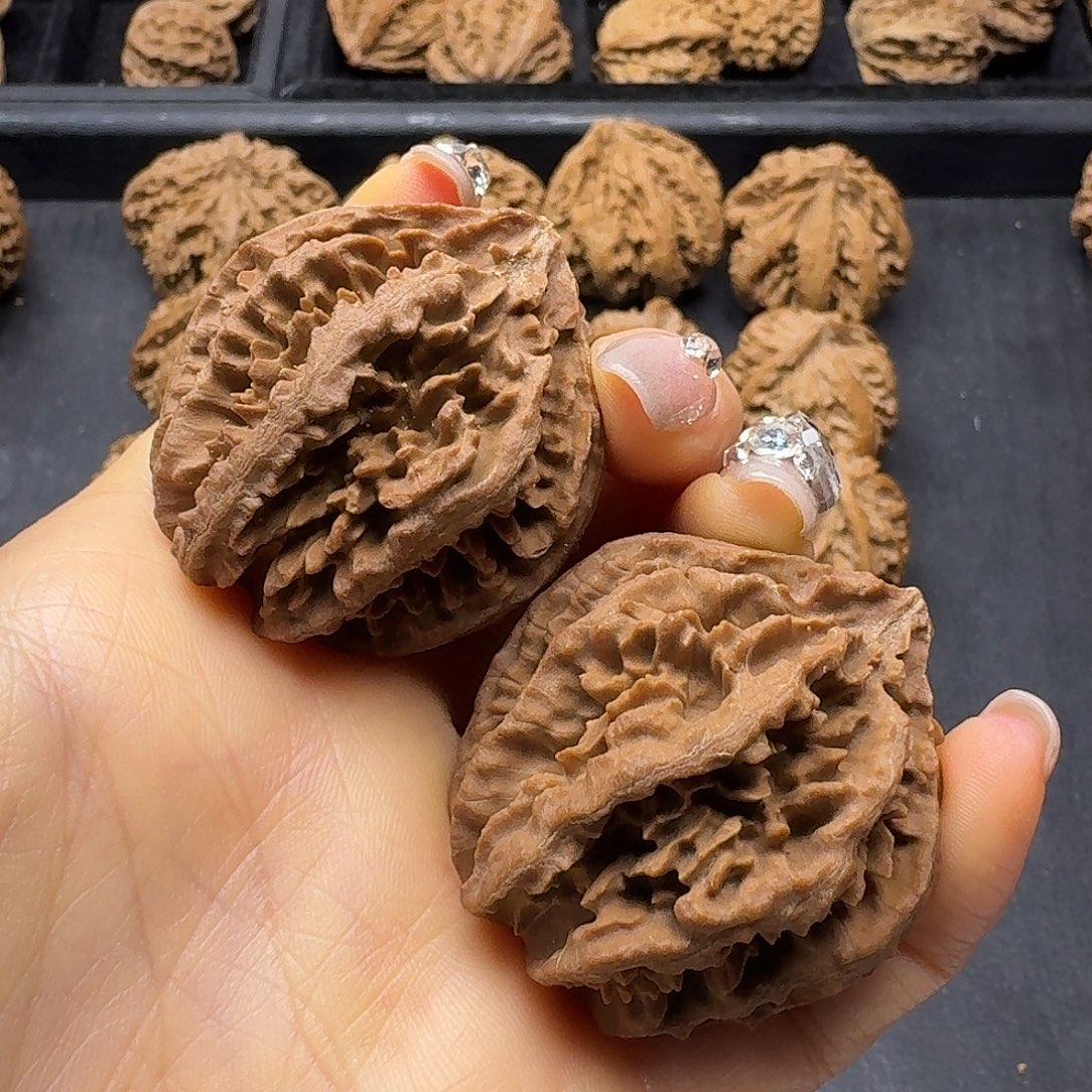 桃木突突突突突突突突