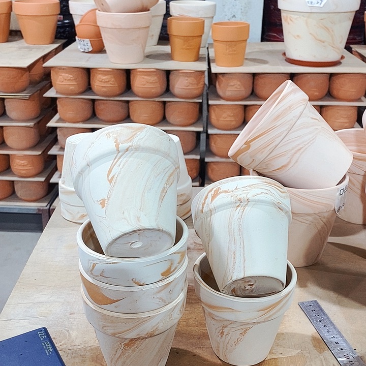 红陶玛奇朵10×10六个  