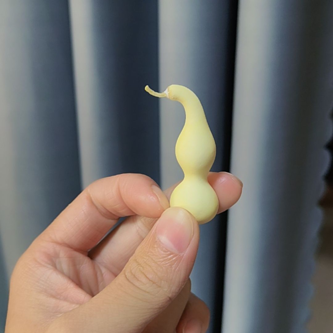 盘完小号天然葫芦带龙头