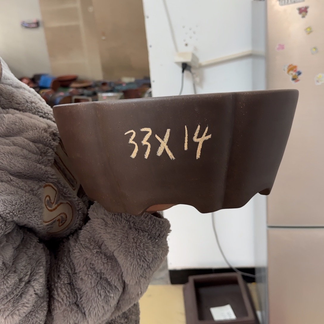 紫砂花盆呜呜呜呜