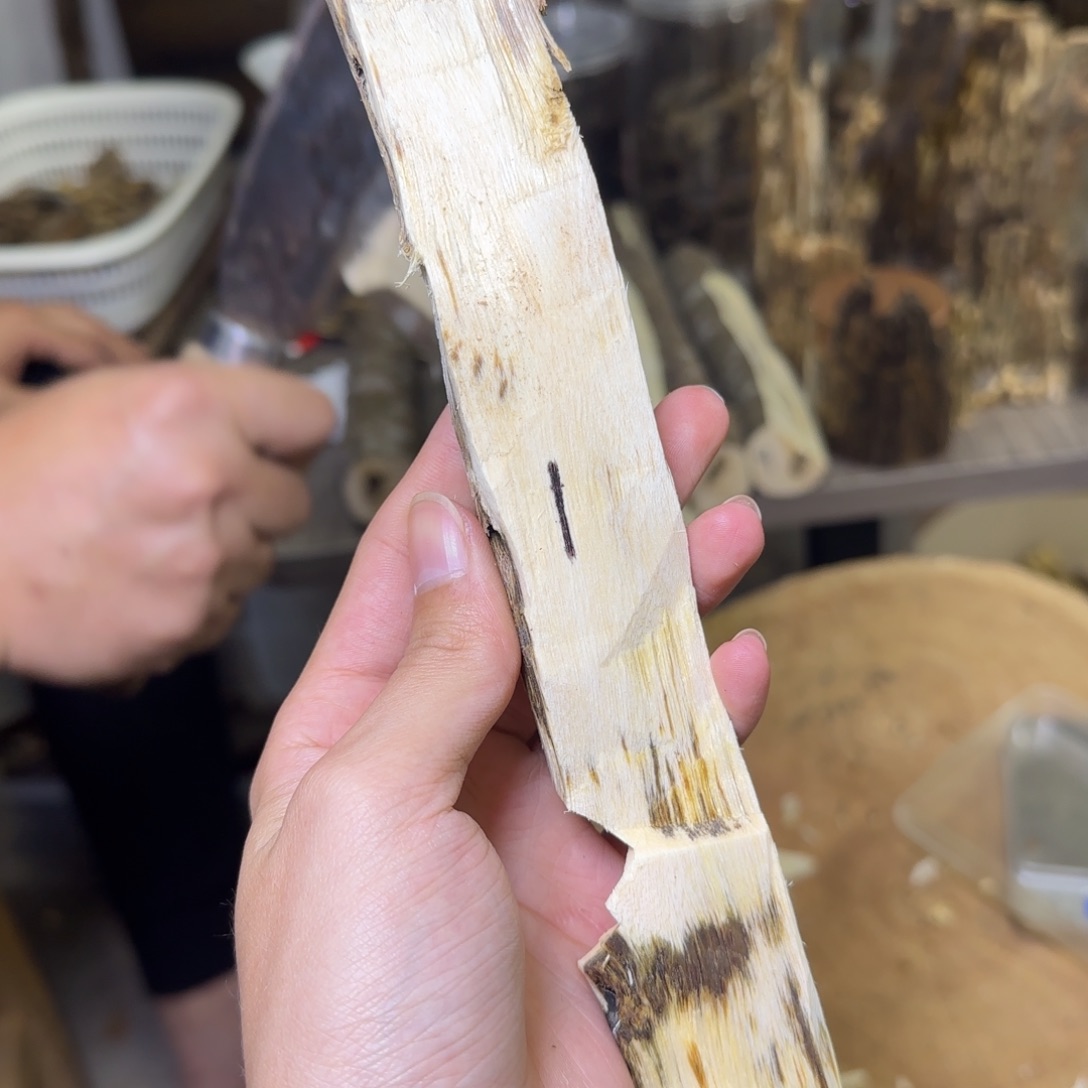 线香东江绿原木发一份