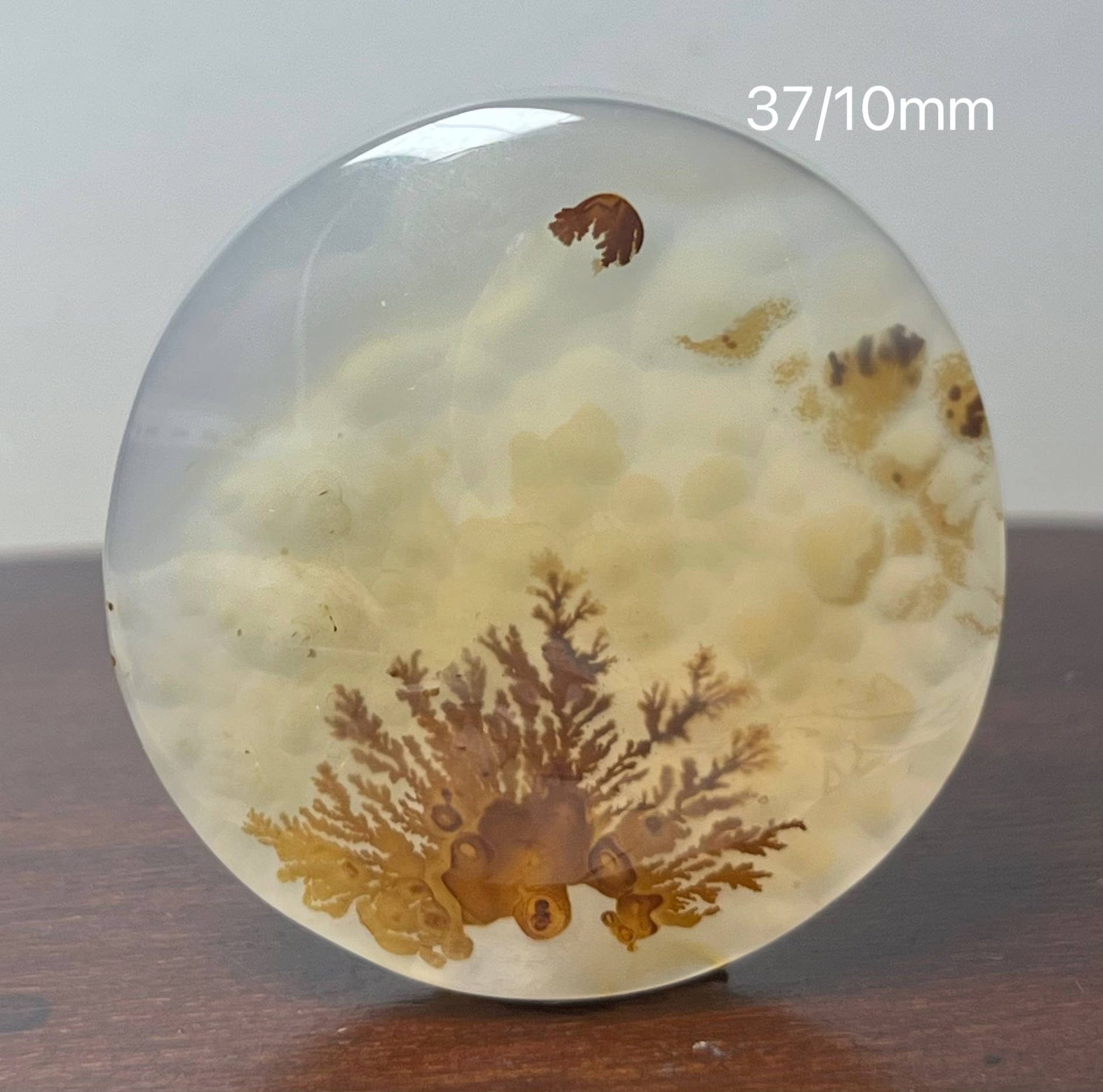 596海洋玉髓草花吊坠尺寸见图打孔备注