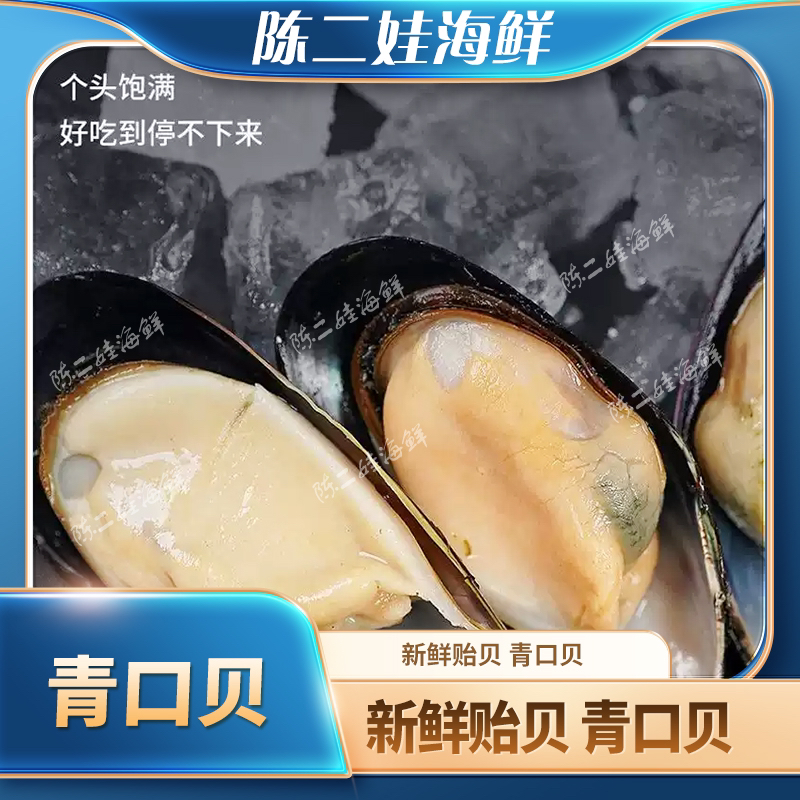 （鲜活）青口贝（500g）