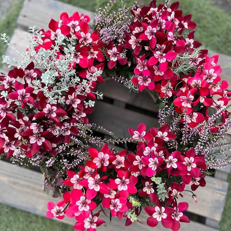 仙客来大盆室内花卉桌面装饰盆栽礼物好养