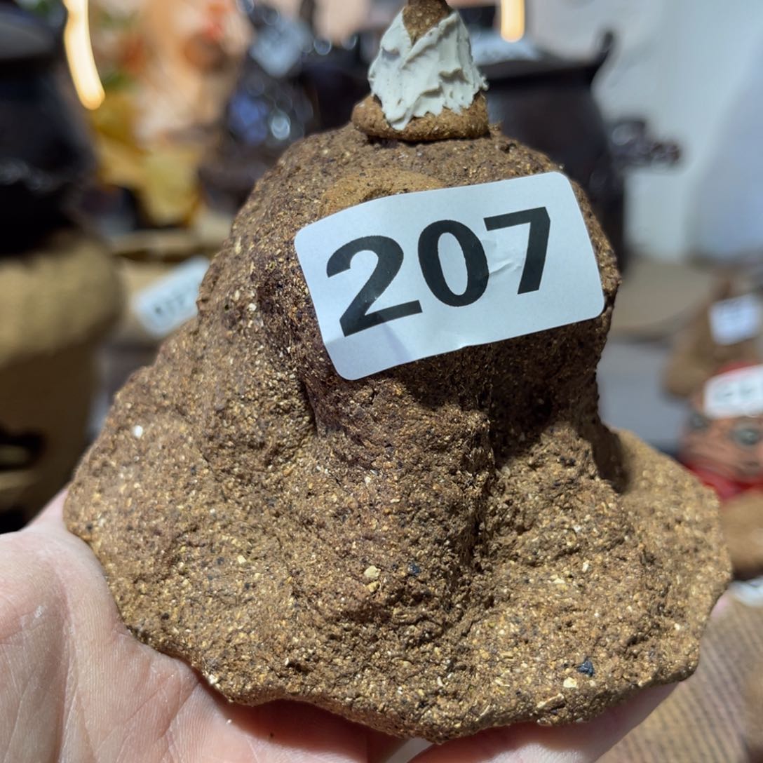 木村信弘柴烧保平