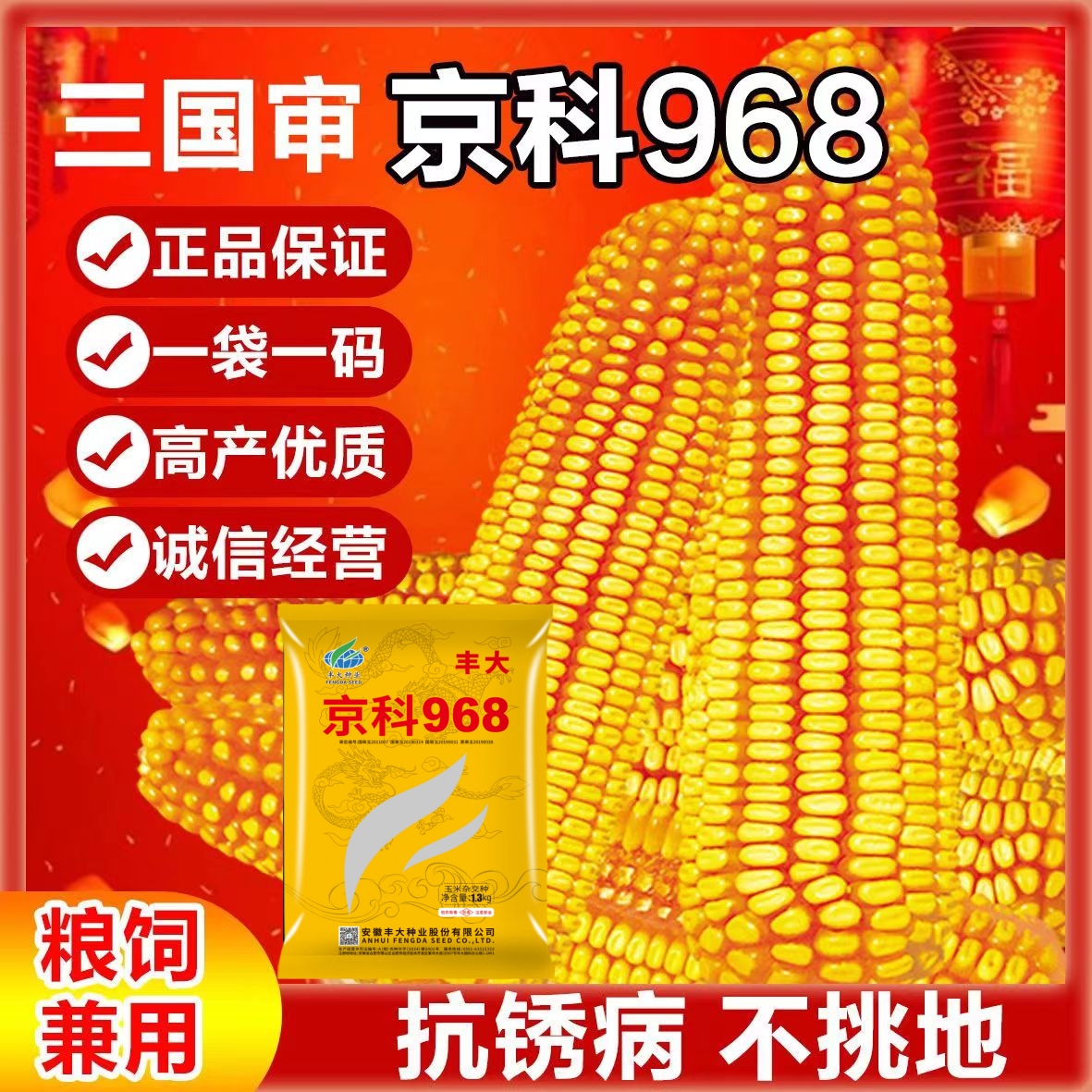 京科968国审高产玉米种产量高优质矮杆大棒抗病虫耐高温抗旱品种