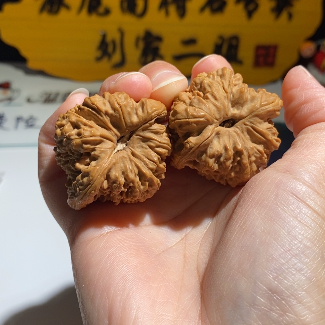 用***7大叶紫檀（黑酸枝木类）