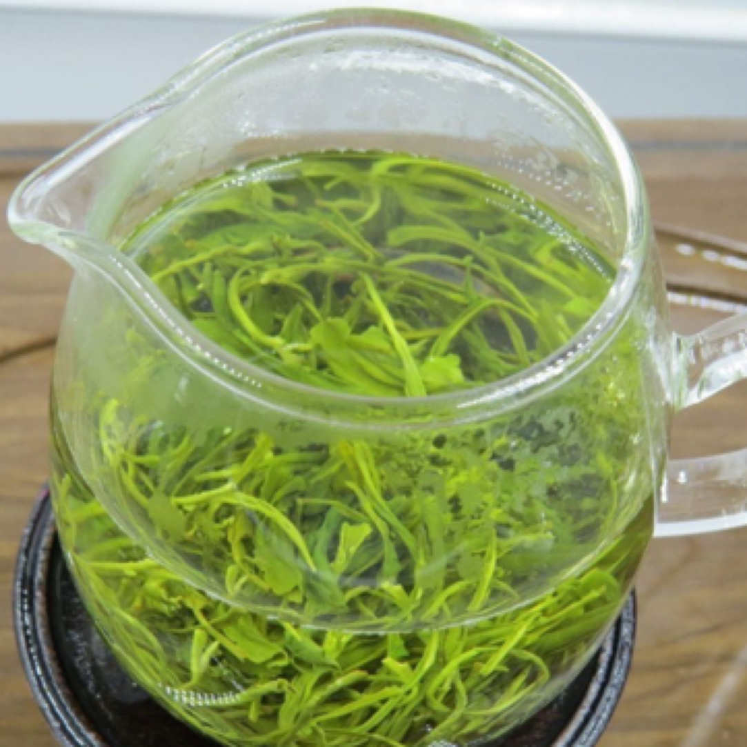 信阳雨前毛尖高山大叶茶口粮茶（浓香耐泡板栗香）