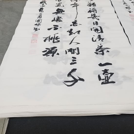 翰墨申国栋老师作品一副