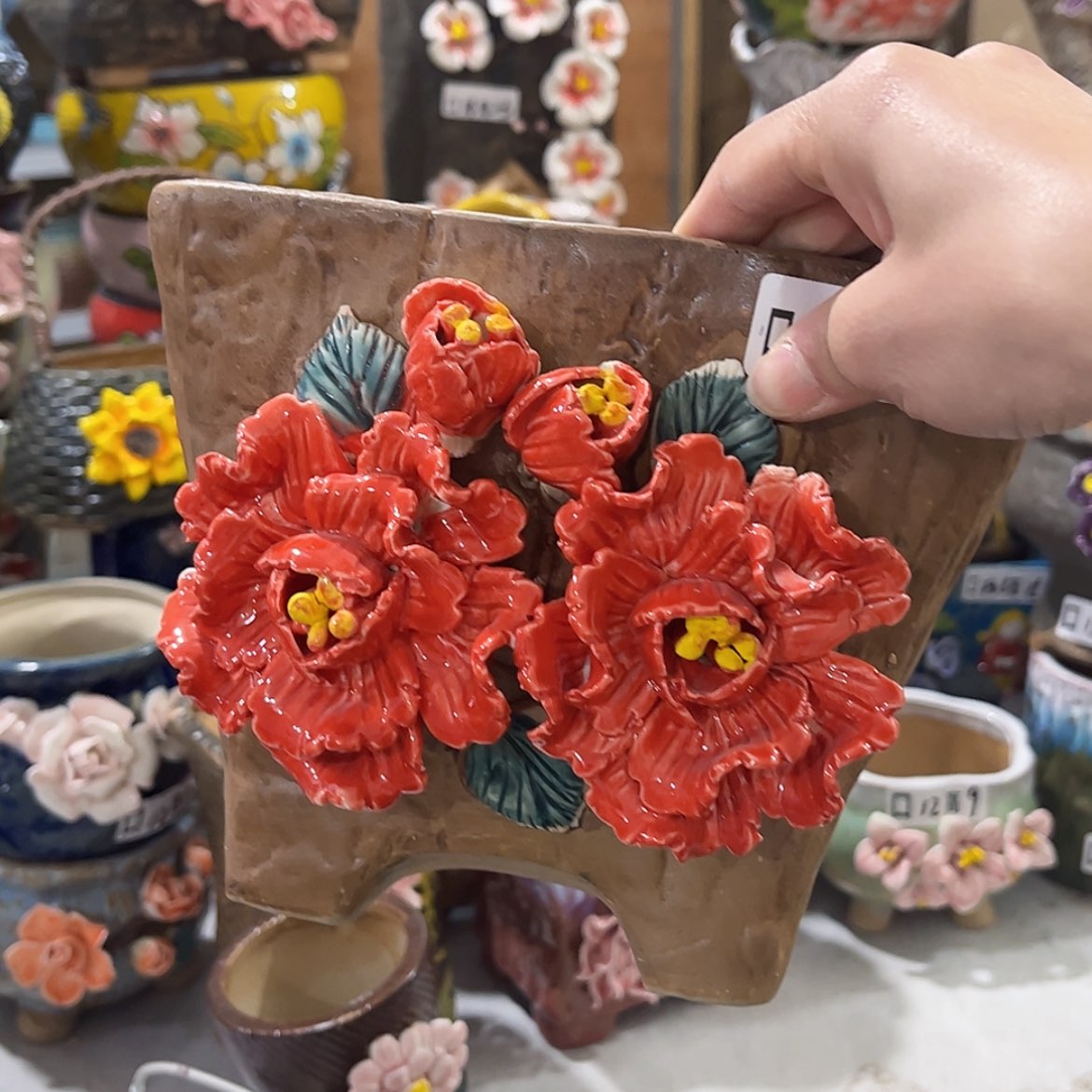 【闪购商品】红陶福利